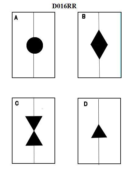 USCG Exam Illustration D016RR