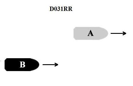 USCG Exam Illustration D031RR