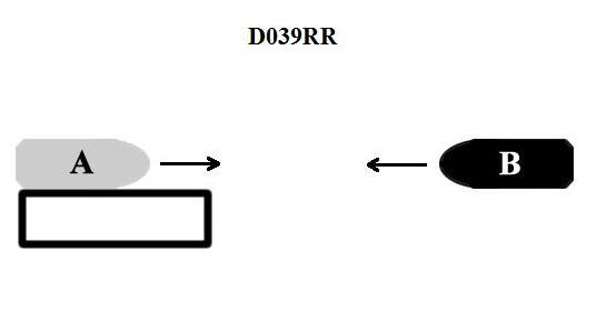 USCG Exam Illustration D039RR