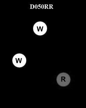 USCG Exam Illustration D050RR