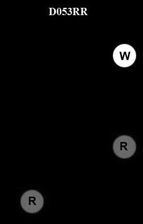 USCG Exam Illustration D053RR