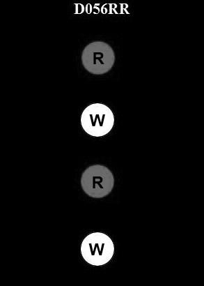 USCG Exam Illustration D056RR