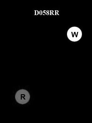 USCG Exam Illustration D058RR