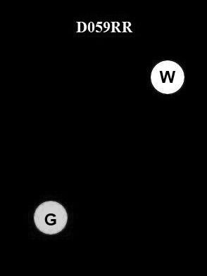 USCG Exam Illustration D059RR