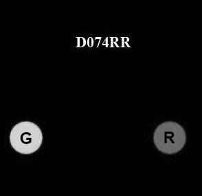USCG Exam Illustration D074RR
