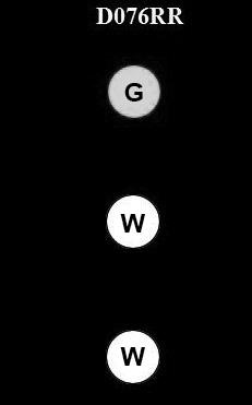 USCG Exam Illustration D076RR