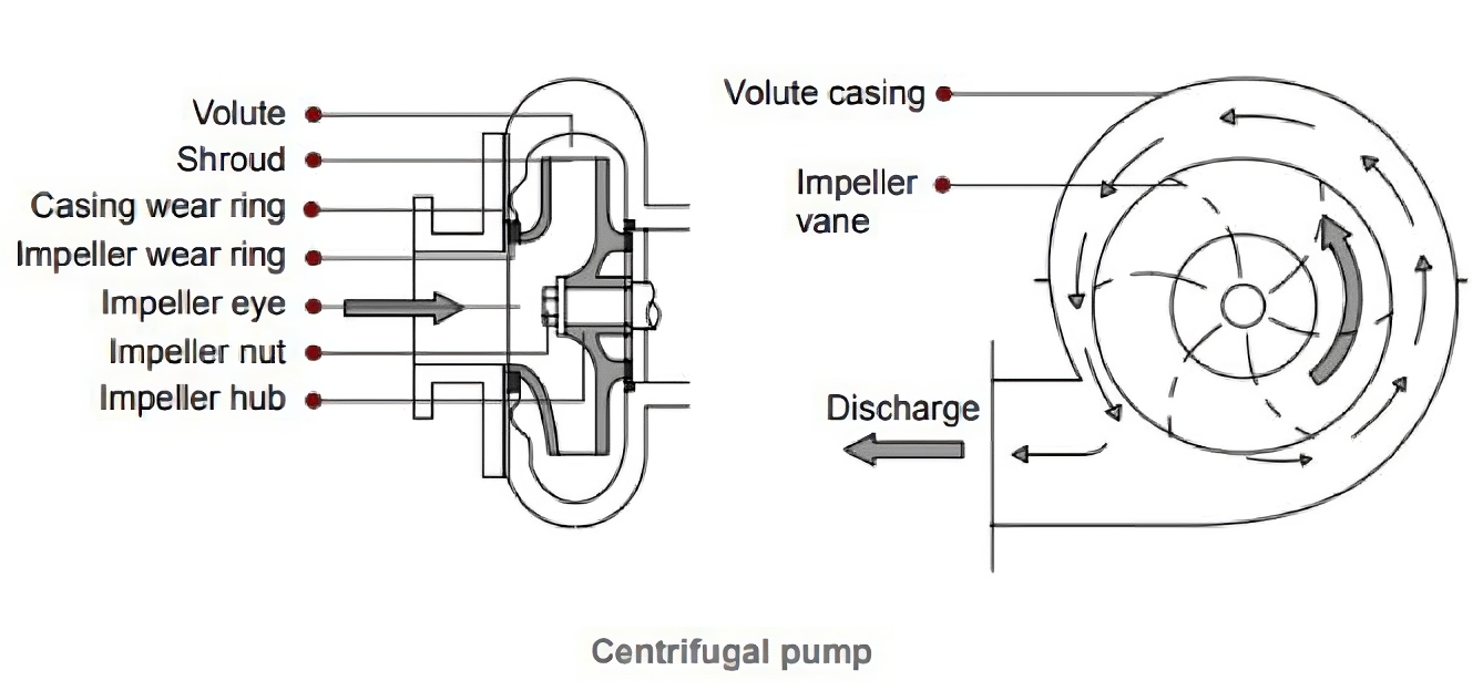 Centrifugal Pump: The Important point you must Know